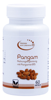 Pangam Vitamin B15 Vegi Kapseln 60 Stück